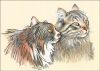 Portrait of Jon & Lucy (cats)